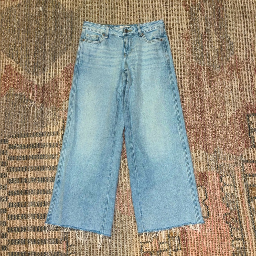 Pacsun Low Rise Baggy Jeans Size 24